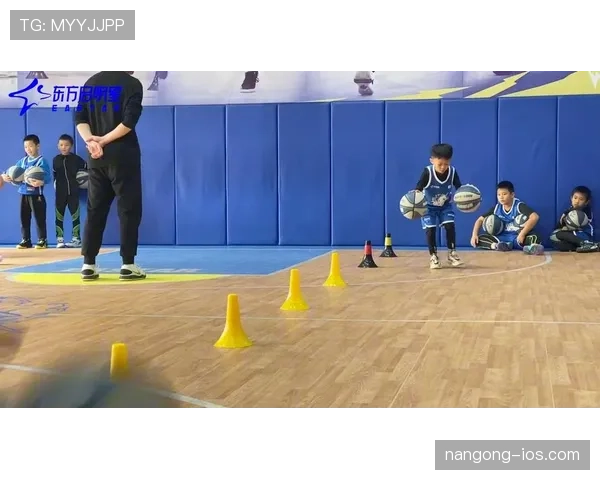 篮球运球规则解析，如何判定合法运球动作